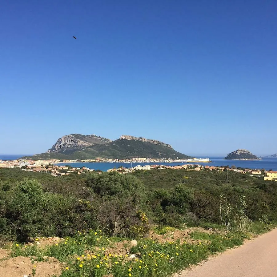 Blue Portrait House Apartment Golfo Aranci Italy